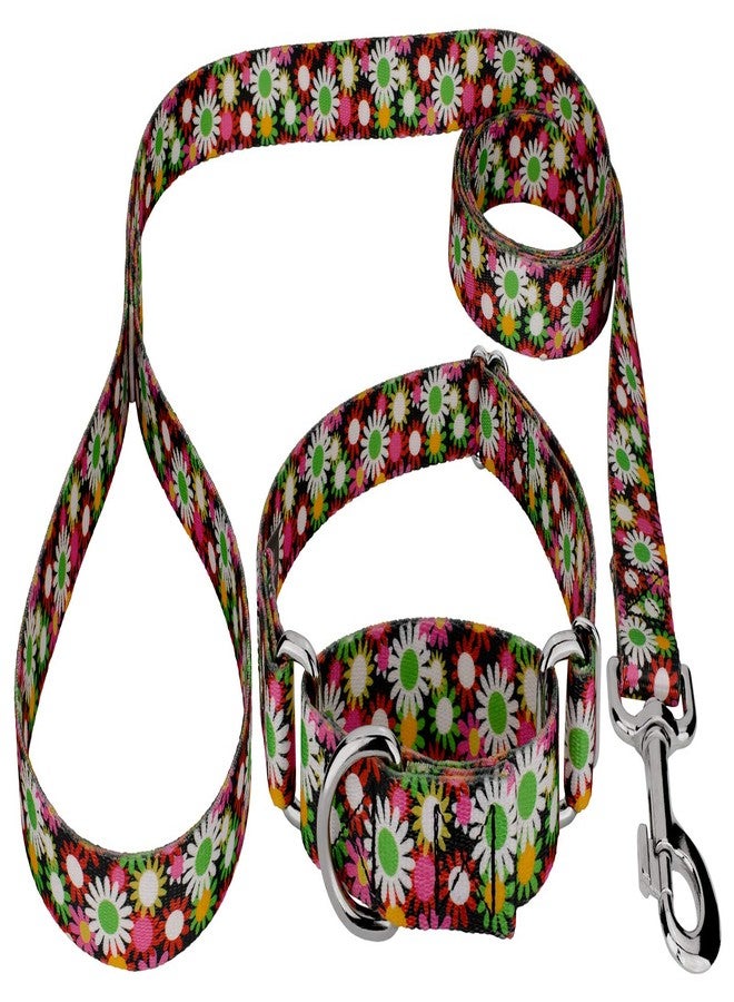 كانتري بروك ديزاين طوق ومقود للكلاب من Country Brook Petz - Daisy Fields Martingale - مجموعة زهور تتميز بتصاميم ساحرة (1 بوصة، متوسط) - Image 1